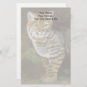 Bobcat Briefpapier (Voorkant / Achterkant)