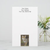 Bobcat Briefpapier (Staand voorkant)