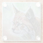 Bobcat buitenkussen glazen onderzetter (Achterkant)
