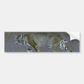 Bobcat Bumpersticker (Voorkant)