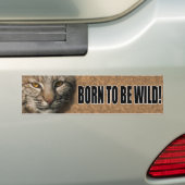 Bobcat Bumpersticker - Geboren om wild te zijn! (Op auto)