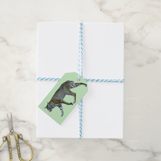 Bobcat Cadeaulabel (Met Touw)