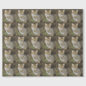 Bobcat Cadeaupapier (Vlak)