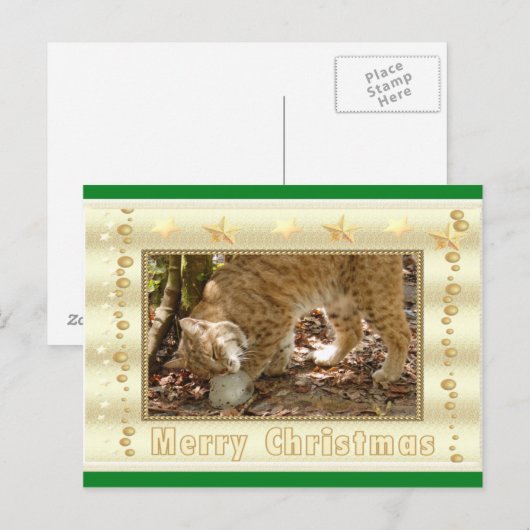 Bobcat Christmas-Briefkaart Feestdagenkaart (Voorkant / Achterkant)