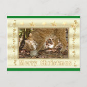 Bobcat Christmas-Briefkaart Feestdagenkaart (Voorkant)