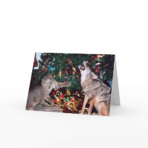 Bobcat Coyote Wild Animal Zuidwest Christmas Kaart