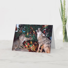 Bobcat Coyote Wild Animal Zuidwest Christmas Kaart
