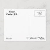 Bobcat Face Briefkaart (Achterkant)