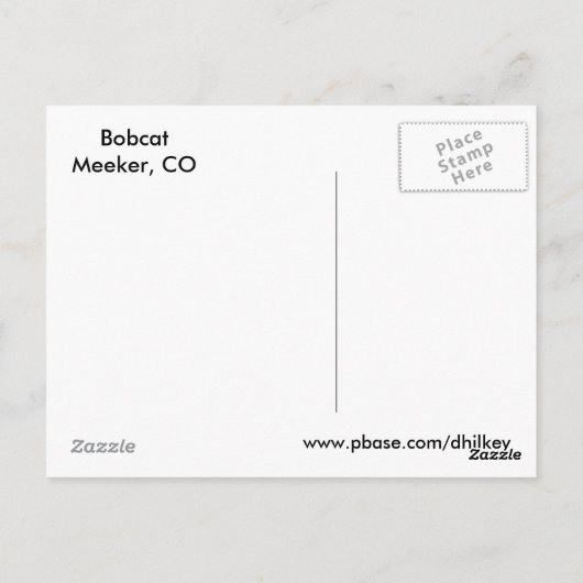 Bobcat Face Briefkaart (Achterkant)