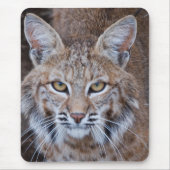Bobcat Face Muismat (Voorkant)