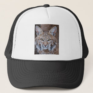 Bobcat Face Trucker Pet