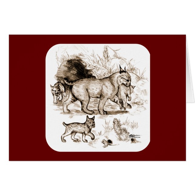 Bobcat-familie (Voorkant Horizontaal)