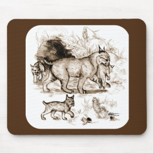 Bobcat-familie Muismat