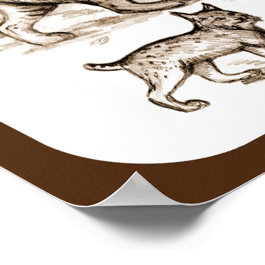 Bobcat-familie Poster (Hoek)