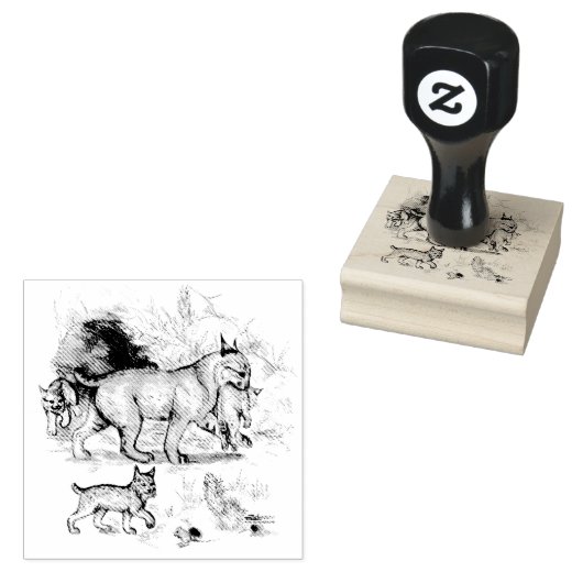 Bobcat-familie Rubberstempel (Gestempeld)