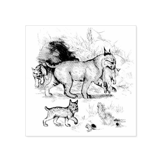 Bobcat-familie Rubberstempel (Afrduk)