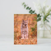 Bobcat Hunting | Autumn Forest Briefkaart (Staand voorkant)