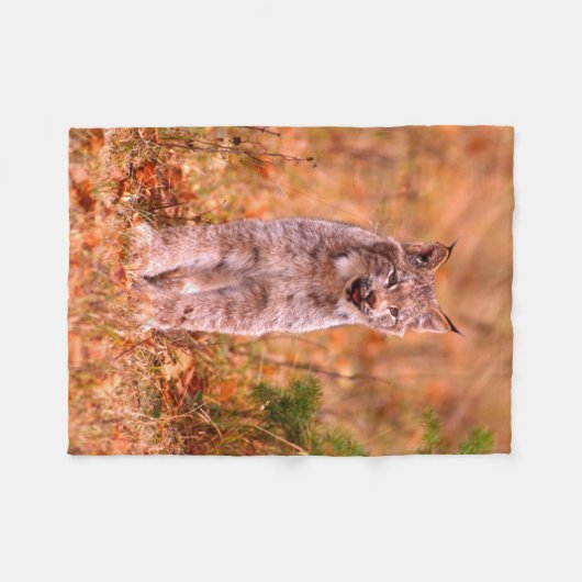 Bobcat Hunting | Autumn Forest Fleece Deken (Voorkant (Horizontaal))