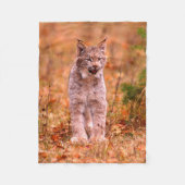 Bobcat Hunting | Autumn Forest Fleece Deken (Voorkant)