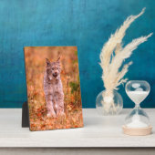 Bobcat Hunting | Autumn Forest Fotoplaat (Zijkant)