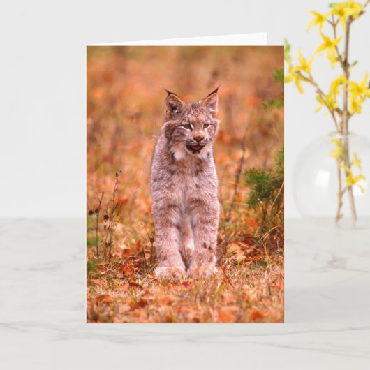 Bobcat Hunting | Autumn Forest Kaart (Gele Bloem)
