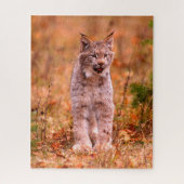 Bobcat Hunting | Autumn Forest Legpuzzel (Verticaal)