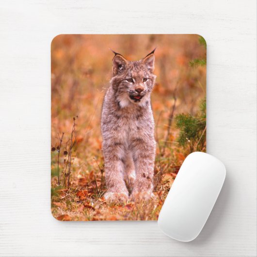 Bobcat Hunting | Autumn Forest Muismat (Met muis)