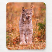 Bobcat Hunting | Autumn Forest Muismat (Voorkant)
