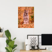Bobcat Hunting | Autumn Forest Poster (Thuiskantoor)