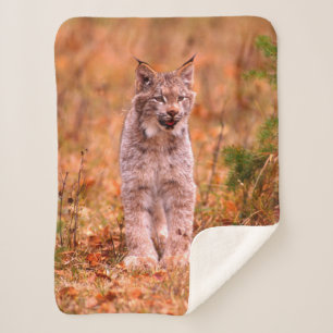 Bobcat Hunting   Autumn Forest Sherpa Deken