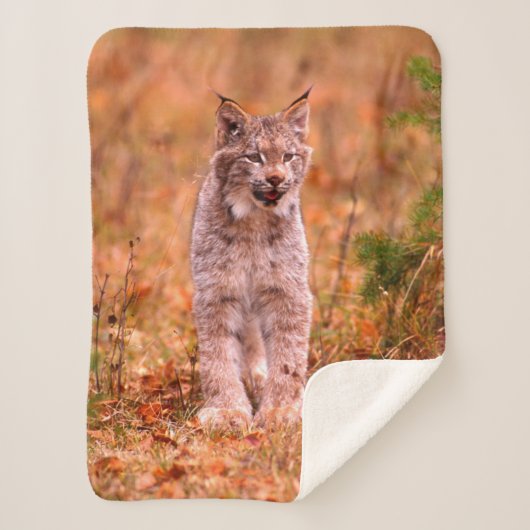 Bobcat Hunting | Autumn Forest Sherpa Deken (Voorkant)