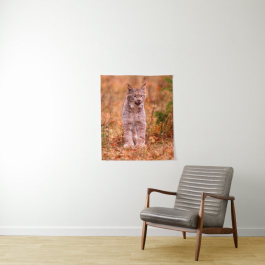 Bobcat Hunting | Autumn Forest Wandkleed (In situ)