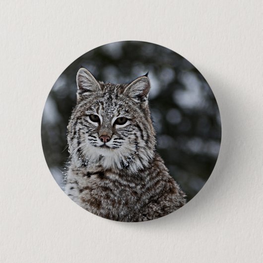 Bobcat in de sneeuw ronde button 5,7 cm (Voorkant)