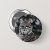 Bobcat in de sneeuw ronde button 5,7 cm (Voorkant /achterkant)
