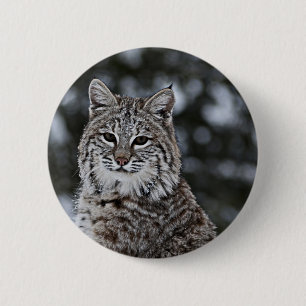 Bobcat in de sneeuw ronde button 5,7 cm