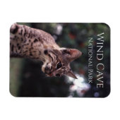 Bobcat in Wind Cave National Park, South Dakota Magneet (Horizontaal)