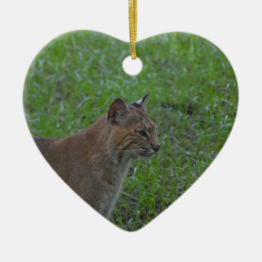 Bobcat Keramisch Ornament (Voorkant)