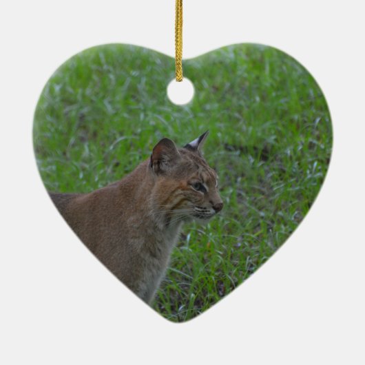 Bobcat Keramisch Ornament (Achterkant)