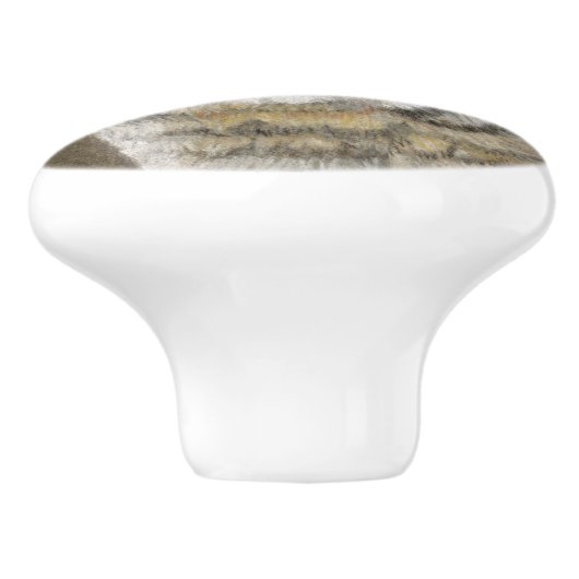 Bobcat Keramische Knop (Zijkant)