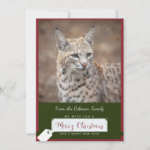 Bobcat Kerst Kaart (Voorkant)