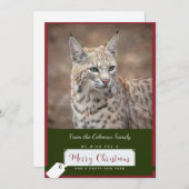 Bobcat Kerst Kaart (Voorkant / Achterkant)