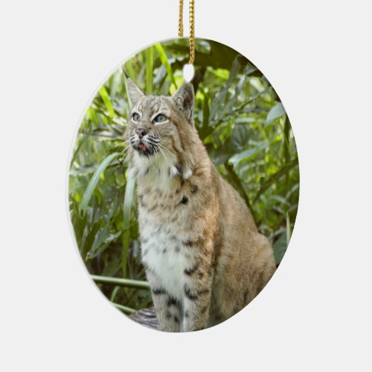 Bobcat-kerstversiering Keramisch Ornament (Rechts)