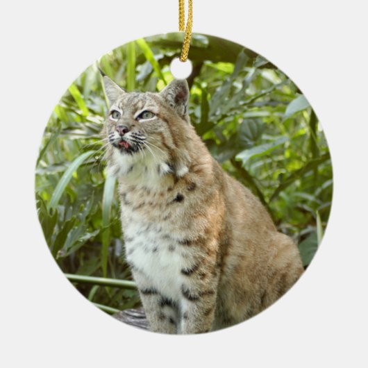 Bobcat-kerstversiering Keramisch Ornament (Voorkant)