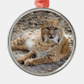 Bobcat-kerstversiering Metalen Ornament (Voorkant)