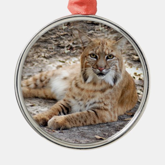 Bobcat-kerstversiering Metalen Ornament (Voorkant)