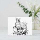 Bobcat Line Art Briefkaart (Staand voorkant)