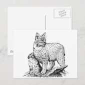Bobcat Line Art Briefkaart (Voorkant / Achterkant)
