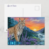 Bobcat / Lynx bij zonsopgang bij waterval Briefkaart (Voorkant / Achterkant)