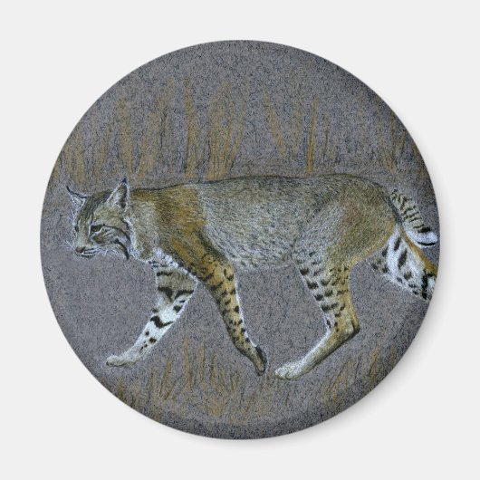 Bobcat Magneet (Voorkant)