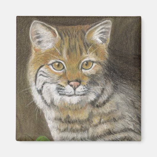 Bobcat Magneet (Voorkant)